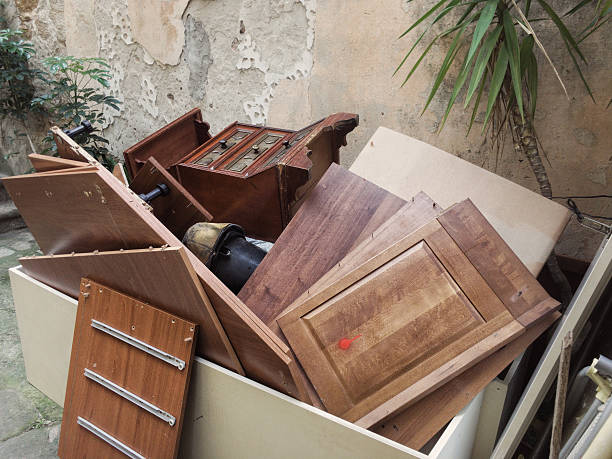 Best Household Junk Removal  in Mount Dora, FL